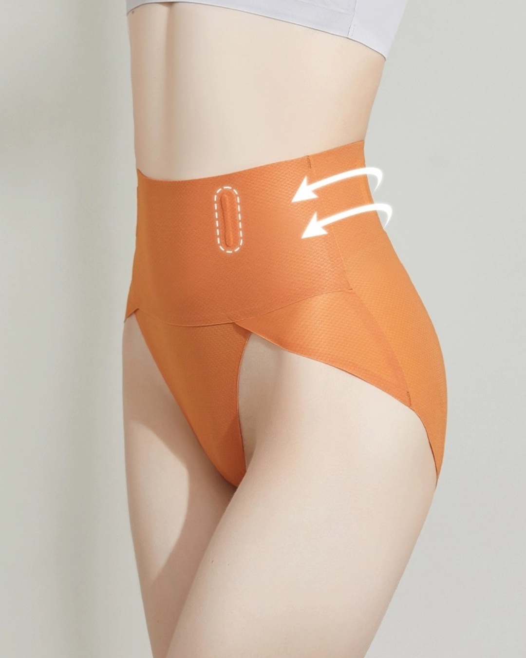 Super High Cut Brief Panties