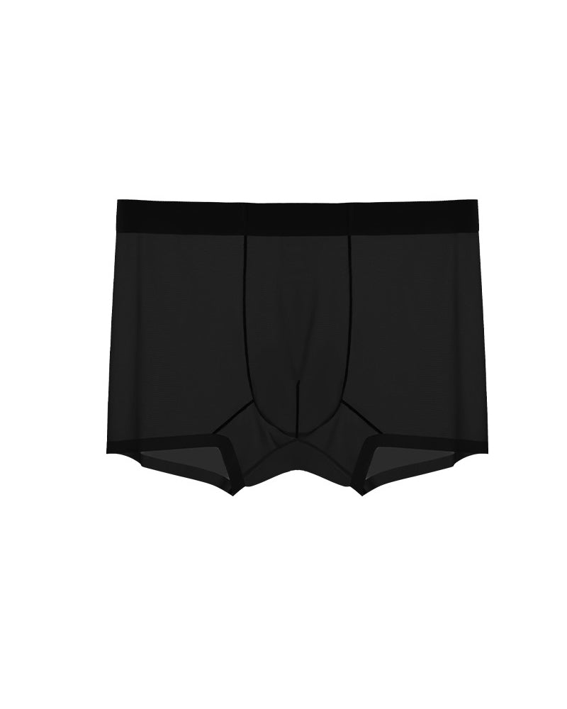 Men's Ice Silk Sexy Comfortable Thin Seamless Breathable Underwear