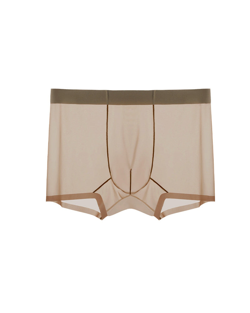 Men's Ice Silk Sexy Comfortable Thin Seamless Breathable Underwear