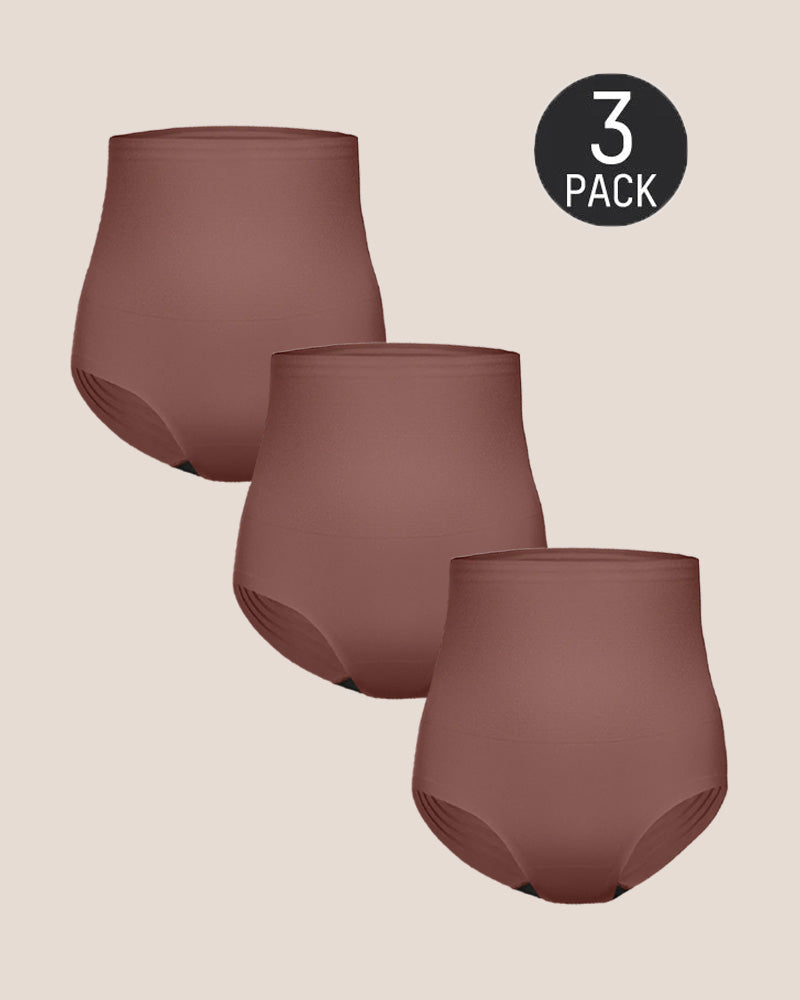 Seamless High Waist Shaping Stretch Briefs