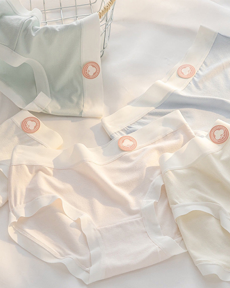 Women's Summer Thin Cotton Colorful Underwear 5 Pack