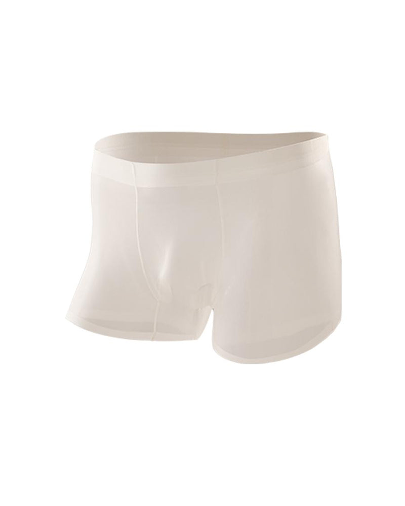 Men's Ice Silk Sexy Comfortable Thin Seamless Breathable Underwear
